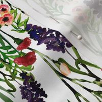 Wild Flower Watercolors
