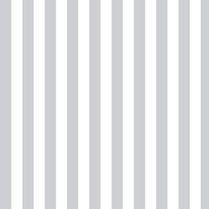 gray and white stripe