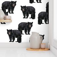 Bears Bears Bears