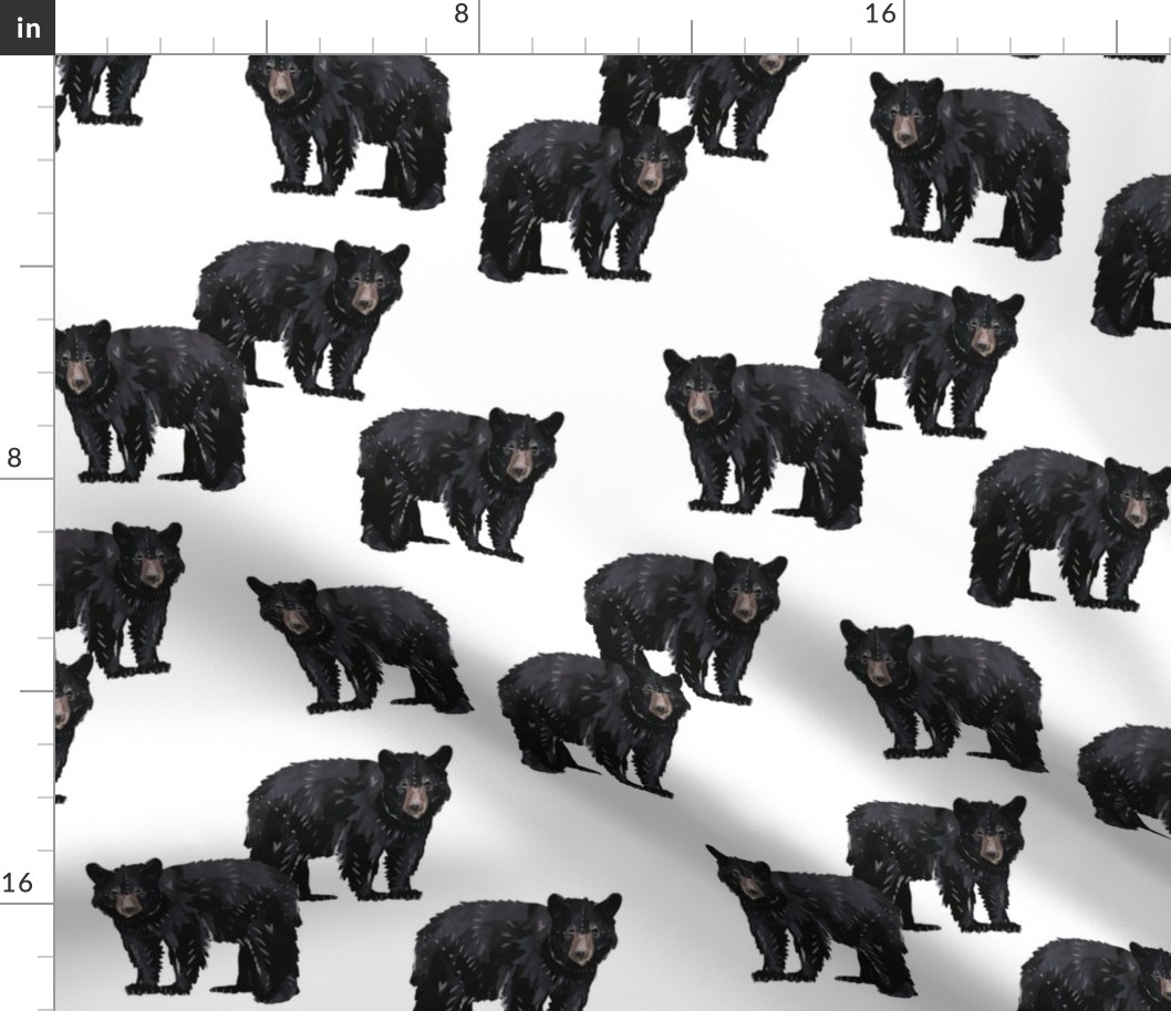 Bears Bears Bears