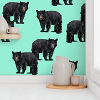 Bears Bears Bears on Mint - Larger Scale