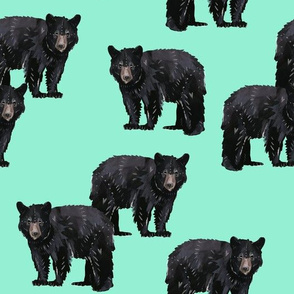 Bears Bears Bears on Mint - Larger Scale