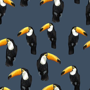 Toucan Party on Blue - Larger Scale