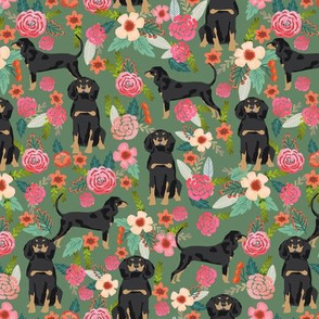 Coonhound black and tan dog breed floral green