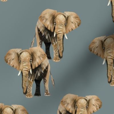 Elephants on Greyish Blue - Original Size