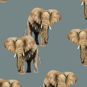 Elephants on Greyish Blue - Original Size