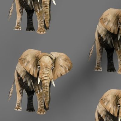Elephants on Grey