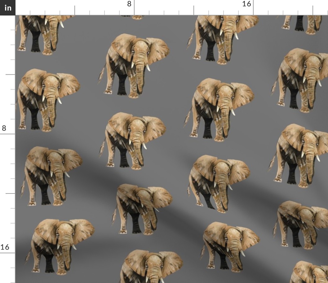 Elephants on Grey