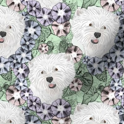 Floral West Highland White Terrier portraits