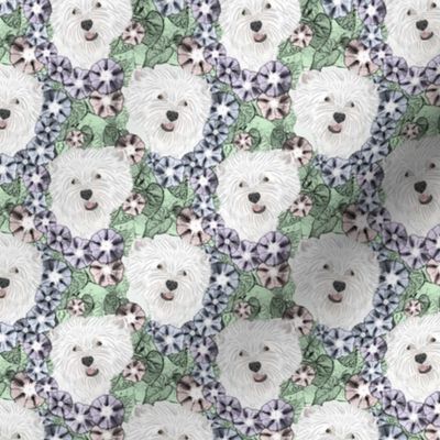 Small Floral West Highland White Terrier portraits