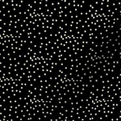 Silver Dots on Deep Black - Medium Scale