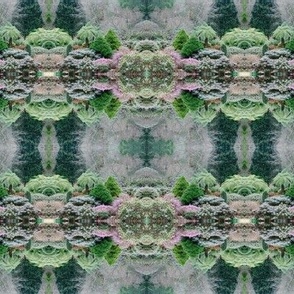 DSCN3121_Forest_Gardens_Pattern