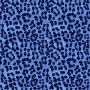 ©2011 leopard print blueberry