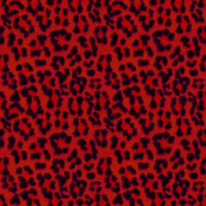 ©2011 leopardprint red