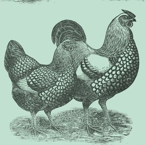 Victorian etching Wyandotte Chicken and Rooster