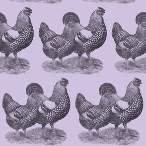 Victorian Etching Wyandotte Chickens