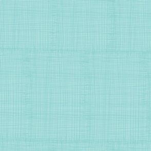 grasscloth_aqua