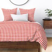 Classic red and white gingham