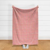 Classic red and white gingham
