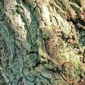 Gnarled Tree Bark 2 L