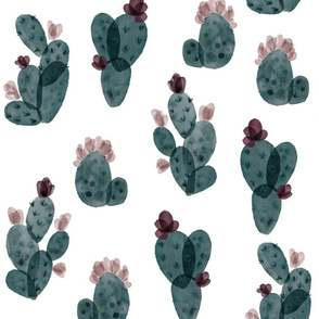 spruce autumn cactus