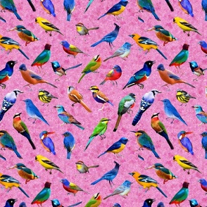 Brilliant Birds 2 pink