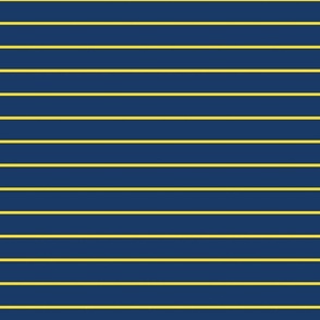 Blue and Yellow Stripes