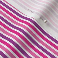 Gymnast Stripe Purple / bright stripe fabric