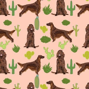 Irish Setter cactus desert southwest pet dog fabric peach