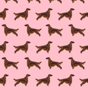 Irish Setter dog breed fabric pattern pink