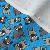 Pug-a-Dot (Blue Small)