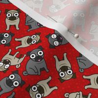 Pug-a-Dot (Small Red)