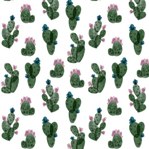 pine autumn cactus // medium