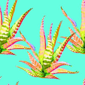 8" Pink Cactus Crazy Aqua