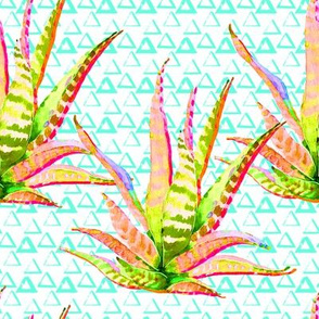 8" Pink Cactus Crazy Aqua Triangles