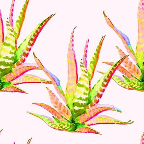8" Pink Cactus Crazy Blush