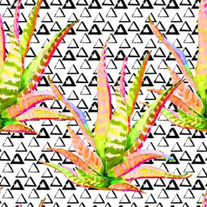 8" Pink Cactus Crazy Triangles