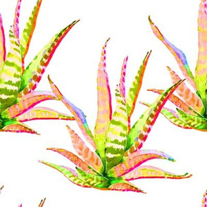 8" Pink Cactus Crazy White