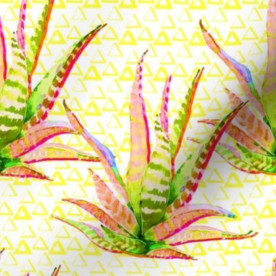 8" Pink Cactus Crazy Yellow Triangles