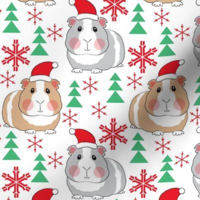 large guinea-pigs-with-santa-hats
