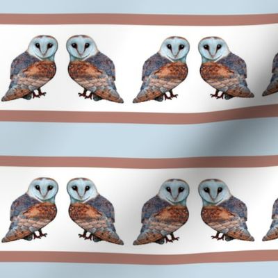 Stripey little barn owls