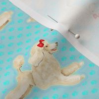 White Toy Poodle on Pawprints