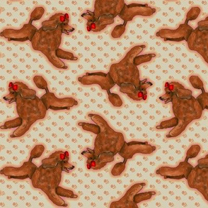 Red Toy Poodle on Pawprints