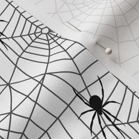 spider webs - grey and white w/ spider - halloween
