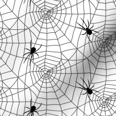 spider webs - grey and white w/ spider - halloween