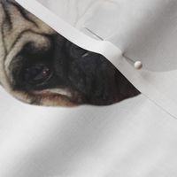 Pug Mug // Quilt Square