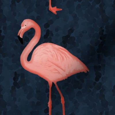 Flamingos Coral/Navy
