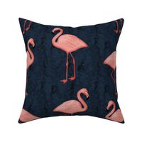 Flamingos Coral/Navy