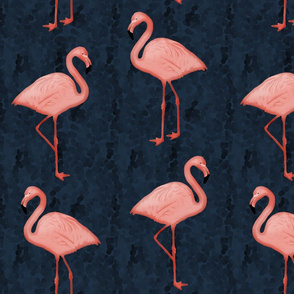 Flamingos Coral/Navy