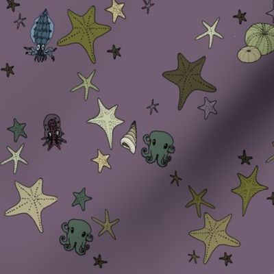Starfish_purple